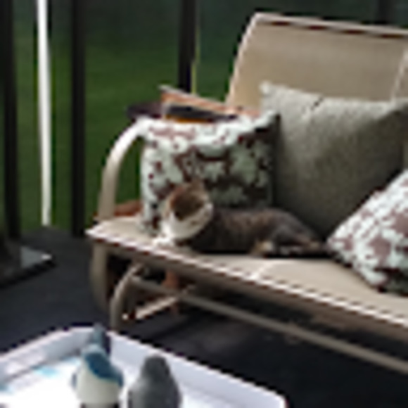 Meet your Posher, Dolores - Picture 1 of 1